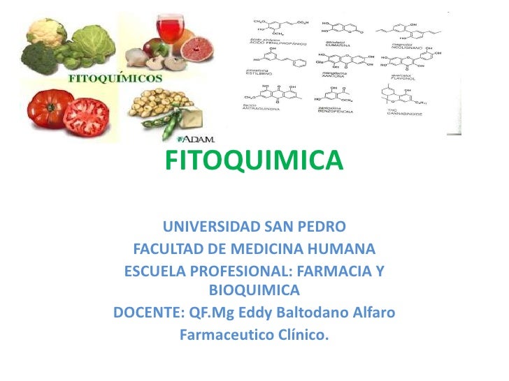 FITOQUIMICA<br />UNIVERSIDAD SAN PEDRO<br />FACULTAD DE MEDICINA HUMANA<br />ESCUELA PROFESIONAL: FARMACIA Y BIOQUIMICA<br...