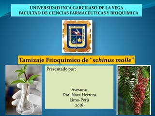 UNIVERSIDAD INCA GARCILASO DE LA VEGA
FACULTAD DE CIENCIAS FARMACEÚTICAS Y BIOQUÍMICA
Tamizaje Fitoquímico de ‘‘schinus molle”
Presentado por:
Asesora:
Dra. Nora Herrera
Lima-Perú
2016
 