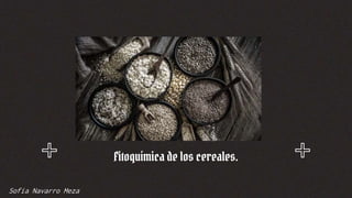 Fitoquímica de los cereales.
Sofia Navarro Meza
 