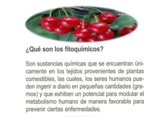 ING. LIZVE VILCAPOMA URETA

 