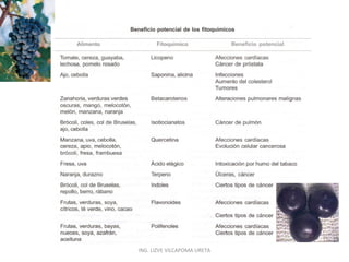 ING. LIZVE VILCAPOMA URETA

 