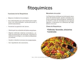 fitoquimicos

•Polifenoles: flavonoides, antocianinas
•Carotenoides

ING. LIZVE VILCAPOMA URETA

 