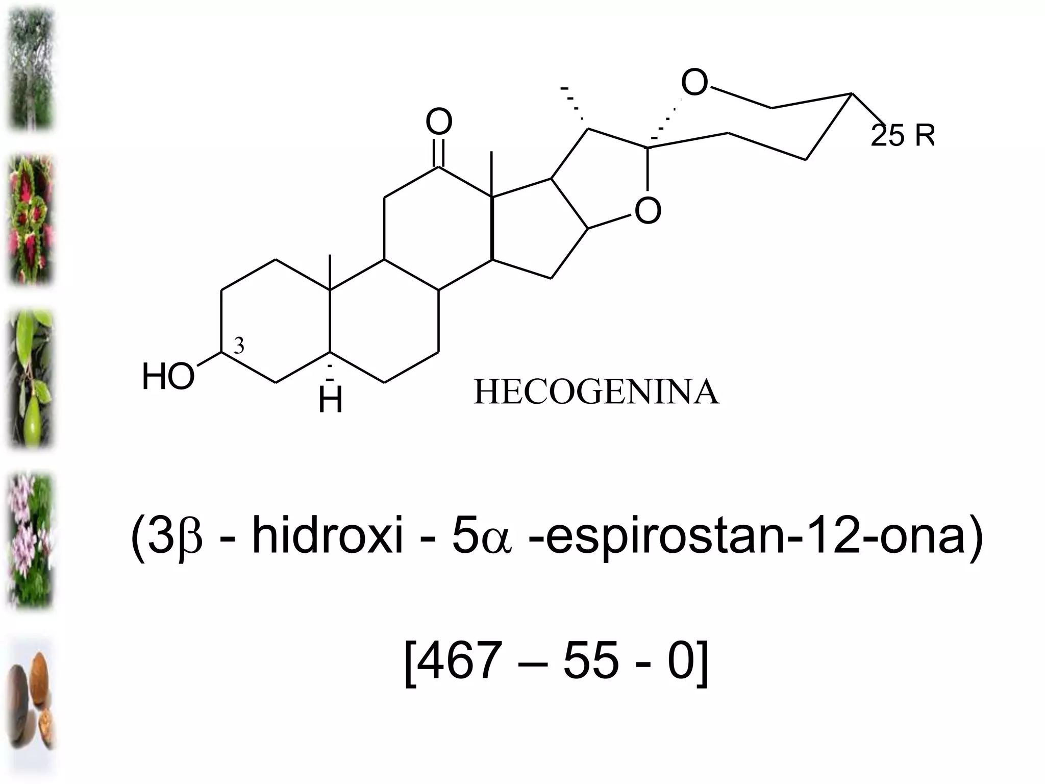 Fitoquímica y quimiotaxonomía.pptx