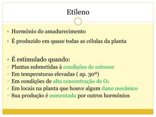 Etileno
 Hormônio do amadurecimento
 É produzido em quase todas as células da planta
 É estimulado quando:
 Plantas submetidas à condições de estresse
 Em temperaturas elevadas ( ap. 30º)
 Em condições de alta concentração de O2
 Em locais na planta que houve algum dano mecânico
 Sua produção é aumentada por outros hormônios
 