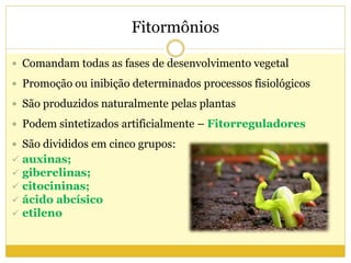 Fitormônios
 Comandam todas as fases de desenvolvimento vegetal
 Promoção ou inibição determinados processos fisiológicos
 São produzidos naturalmente pelas plantas
 Podem sintetizados artificialmente – Fitorreguladores
 São divididos em cinco grupos:
 auxinas;
 giberelinas;
 citocininas;
 ácido abcísico
 etileno
 