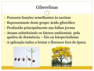 Giberelinas
 Possuem funções semelhantes às auxinas
 Representante deste grupo: ácido giberélico
 Produzido principalmente nas folhas jovens
 Atuam substituindo os fatores ambientais pela
quebra de dormência – frio ou fotoperiodismo
 A aplicação induz a brotar e florescer fora de época
 