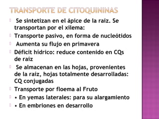     Se sintetizan en el ápice de la raíz. Se
    transportan por el xilema:
   Transporte pasivo, en forma de nucleótidos
    Aumenta su flujo en primavera
   Déficit hídrico: reduce contenido en CQs
    de raíz
    Se almacenan en las hojas, provenientes
    de la raíz, hojas totalmente desarrolladas:
    CQ conjugadas
   Transporte por floema al Fruto
   • En yemas laterales: para su alargamiento
   • En embriones en desarrollo
 