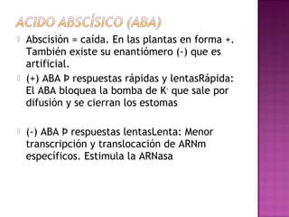    Abscisión = caída. En las plantas en forma +.
    También existe su enantiómero (-) que es
    artificial.
   (+) ABA Þ respuestas rápidas y lentasRápida:
    El ABA bloquea la bomba de K+ que sale por
    difusión y se cierran los estomas

   (-) ABA Þ respuestas lentasLenta: Menor
    transcripción y translocación de ARNm
    específicos. Estimula la ARNasa
 