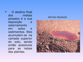  O destino final 
dos metais 
pesados é a sua 
deposição e 
soterramento 
em solos e 
sedimentos. Eles 
acumulam-se na 
camada superior 
do solo, sendo 
então acessíveis 
para as raízes 
das plantas. 
MMEETTAAIISS PPEESSAADDOOSS 
 