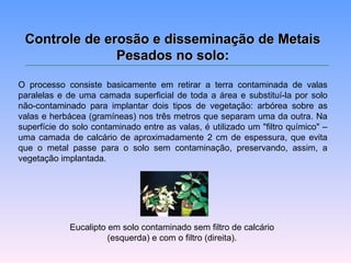 Controle ddee eerroossããoo ee ddiisssseemmiinnaaççããoo ddee MMeettaaiiss 
PPeessaaddooss nnoo ssoolloo:: 
O processo consiste basicamente em retirar a terra contaminada de valas 
paralelas e de uma camada superficial de toda a área e substituí-la por solo 
não-contaminado para implantar dois tipos de vegetação: arbórea sobre as 
valas e herbácea (gramíneas) nos três metros que separam uma da outra. Na 
superfície do solo contaminado entre as valas, é utilizado um "filtro químico" – 
uma camada de calcário de aproximadamente 2 cm de espessura, que evita 
que o metal passe para o solo sem contaminação, preservando, assim, a 
vegetação implantada. 
Eucalipto em solo contaminado sem filtro de calcário 
(esquerda) e com o filtro (direita). 
 