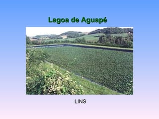 LLaaggooaa ddee AAgguuaappéé 
LINS 
 