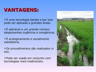VVAANNTTAAGGEENNSS:: 
É uma tecnologia barata e por isso 
pode ser aplicada a grandes áreas. 
É aplicável a um grande número 
despoluentes orgânicos e inorgânicos. 
É ecologicamente e socialmente 
satisfatória. 
Os procedimentos são realizados in 
situ. 
Pode ser usada em conjunto com 
tecnologias mais tradicionais. 
 