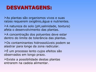 DDEESSVVAANNTTAAGGEENNSS:: 
As plantas são organismos vivos e suas 
raízes requerem oxigênio,água e nutrientes. 
A natureza do solo (pH,salinidade, textura) 
afeta o desenvolvimento das plantas. 
A concentração dos poluentes deve estar 
dentro do limite de tolerância das plantas. 
Os contaminantes hidrossolúveis podem se 
alastrar para longe da zona radicular. 
É um processo lento cujos efeitos são 
observados em longo prazo. 
Existe a possibilidade destas plantas 
entrarem na cadeia alimentar. 
 