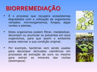  É o processo que recupera ecossistemas 
degradados com a utilização de organismos 
variados: microorganismos, fungos, algas 
verdes e plantas. 
 Estes organismos podem filtrar, metabolizar, 
decompor ou acumular os poluentes em seus 
organismos, para que assim o ambiente 
possa retornar a sua condição original. 
 Por exemplo, bactérias vem sendo usadas 
para decompor derivados cianídricos em 
processos de extração de ouro ou mesmo 
para extrair os minerais das rochas 
(biolimpeza) 
 
