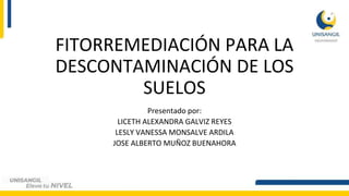 FITORREMEDIACIÓN PARA LA
DESCONTAMINACIÓN DE LOS
SUELOS
Presentado por:
LICETH ALEXANDRA GALVIZ REYES
LESLY VANESSA MONSALVE ARDILA
JOSE ALBERTO MUÑOZ BUENAHORA
 