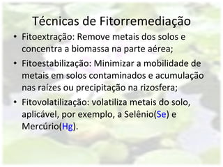 Técnicas de Fitorremediação Fitoextração: Remove metais dos solos e concentra a biomassa na parte aérea;  Fitoestabilização: Minimizar a mobilidade de metais em solos contaminados e acumulação nas raízes ou precipitação na rizosfera;  Fitovolatilização: volatiliza metais do solo, aplicável, por exemplo, a Selênio( Se ) e Mercúrio( Hg ). 