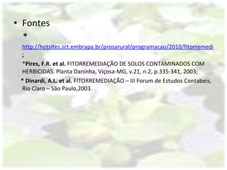 Fontes  * http://hotsites.sct.embrapa.br/prosarural/programacao/2010/fitorremediacao-o-uso-de-plantas-para-descontaminacao-ambiental ; * Pires, F.R. et al.  FITORREMEDIAÇÃO DE SOLOS CONTAMINADOS COM HERBICIDAS. Planta Daninha, Viçosa-MG, v.21, n.2, p.335-341, 2003; * Dinardi, A.L. et al.  FITORREMEDIAÇÃO – III Forum de Estudos Contabeis, Rio Claro – São Paulo,2003. 