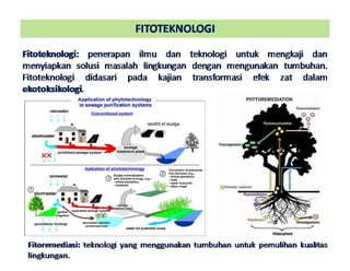 Fitory Bincang Sinau