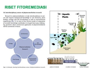 Fitory Bincang Sinau