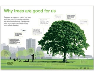 Fitory Bincang Sinau