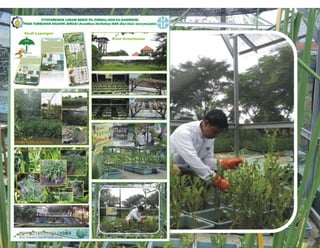 Fitory Bincang Sinau