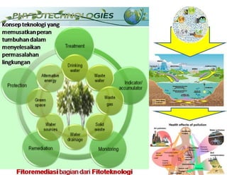 Fitory Bincang Sinau