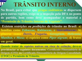 TRÂNSITO INTERNO
No Brasil, para evitar que pragas endêmicas se dispersem
para outras regiões, exige-se a inspeção pela DFA no ponto
de partida, bem como deve acompanhar o material a
“Permissão de Trânsito Interno de Vegetais”.
Existem restrições ou proibições de trânsito no Brasil: a)
famílias como Fabaceae, Rubiaceae, e Sterculliaceae; b)
gêneros como Derris, Fragaria, Gossypium, Heliconia,
Manihot, e Musa; c) espécies como Piper nigrum; d) frutos
em geral.
Quando tratar de espécies nativas em risco de extinção, deve-se
providenciar os seguintes documentos: Certificado Fitossanitário de
Origem (CFO) ou Certificado Fitossanitário de Origem Consolidado
(CFOC) e Permissão de Trânsito.

 
