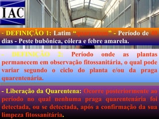 - DEFINIÇÃO 1: Latim “quarantum” - Período de 40
dias - Peste bubônica, cólera e febre amarela.
- DEFINIÇÃO 2: Período onde as plantas
permanecem em observação fitossanitária, o qual pode
variar segundo o ciclo do planta e/ou da praga
quarentenária.
- Liberação da Quarentena: Ocorre posteriormente ao
período no qual nenhuma praga quarentenária foi
detectada, ou se detectada, após a confirmação da sua
limpeza fitossanitária.

 