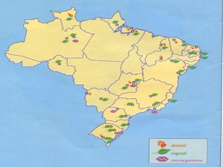 Uma introdução pode ser realizada objetivando:
- a venda direta aos consumidores (ornamentais);
- o uso imediato na agricultura (novas culturas);
- a utilização no melhoramento genético (novas
cultivares).

 