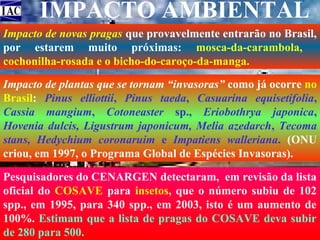IMPACTO AMBIENTAL
Impacto de novas pragas que provavelmente entrarão no Brasil,
por estarem muito próximas: mosca-da-carambola,
cochonilha-rosada e o bicho-do-caroço-da-manga.
Impacto de plantas que se tornam “invasoras” como já ocorre no
Brasil: Pinus elliottii, Pinus taeda, Casuarina equisetifolia,
Cassia mangium, Cotoneaster sp., Eriobothrya japonica,
Hovenia dulcis, Ligustrum japonicum, Melia azedarch, Tecoma
stans, Hedychium coronaruim e Impatiens walleriana. (ONU
criou, em 1997, o Programa Global de Espécies Invasoras).
Pesquisadores do CENARGEN detectaram, em revisão da lista
oficial do COSAVE para insetos, que o número subiu de 102
spp., em 1995, para 340 spp., em 2003, isto é um aumento de
100%. Estimam que a lista de pragas do COSAVE deva subir
de 280 para 500.

 