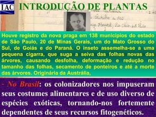 INTRODUÇÃO DE PLANTAS
Houve registro da nova praga em 138 municípios do estado
de São Paulo, 20 de Minas Gerais, um do Mato Grosso do
Sul, de Goiás e do Paraná. O inseto assemelha-se a uma
- Atividade mais suga a seiva das folhas novas das
pequena cigarra, que importante na implantação
árvores, causando nos primórdios da humanidade
da agricultura, desfolha, deformação e redução no
tamanho das folhas, secamento de ponteiros e até a morte
(10.000 anos).
das árvores. Originária da Austrália,

- No Brasil: os colonizadores nos impuseram
seus costumes alimentares e de uso diverso de
espécies exóticas, tornando-nos fortemente
dependentes de seus recursos fitogenéticos.

 