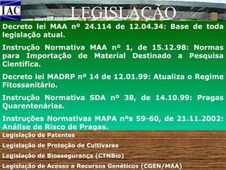LEGISLAÇÃO
Decreto lei MAA nº 24.114 de 12.04.34: Base de toda
legislação atual.
Instrução Normativa MAA nº 1, de 15.12.98: Normas
para Importação de Material Destinado a Pesquisa
Científica.
Decreto lei MADRP nº 14 de 12.01.99: Atualiza o Regime
Fitossanitário.
Instrução Normativa SDA nº 38, de 14.10.99: Pragas
Quarentenárias.
Instruções Normativas MAPA nºs 59-60, de 21.11.2002:
Análise de Risco de Pragas.
Legislação de Patentes
Legislação de Proteção de Cultivares
Legislação de Biossegurança (CTNBio)
Legislação de Acesso a Recursos Genéticos (CGEN/MAA)

 