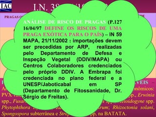 I.N. 38, 14/10/1999 S.D.A
PRAGAS QUARENTENÁRIAS

GERMOPLASMA

ESTADOS ONDE
OCORREM
presentes no País

PRAGASANÁLISE DE RISCO DE – Não
QUARENTENÁRIAS A1 PRAGAS (P.127
A2
16/04/97
Bractrocera carambolae DEFINE OS RISCOS DE UMA
Amapá
Tomate
Mosca da carambola
PRAGASPRAGA EXÓTICA PARA O PAÍS) – INno País, mas não
QUARENTENÁRIAS A2 – Presentes 59
amplamente distribuídas
MAPA, 21/11/2002 : importações devem RS e SC
frutas da família rosácea
Cydia pomonela
ser precedidas por ARP, realizadas
Ralstonia solanacearam raça 2
pelo Departamento de Defesa e AM, AP e PA
Heliconia ssp.
AL,
Moko da bananeira
Inspeção Vegetal (DDIV/MAPA) ou
Centros Colaboradoresssp.credenciados PR, RS e SC
Sirex noctilio
Pinus
Vespa da madeira
pelo próprio DDIV. A Embrapa foi
credenciada no plano federal e a
PRAGASUNESP/Jaboticabal
NÃO QUARENTENÁRIAS REGULAMENTÁVEIS –
em
SP
Amplamente distribuídas pelode Fitossanidade, Dr. econômicos:
(Departamento País, com riscos de impactos
PVX vírus, PVY vírus, PLRV vírus, PVS vírus, Alternaria spp., Erwinia
Sérgio de Freitas).
spp., Fusarium solani (Tipo eumartii), Fusarium spp., Meloidogyne spp.
Phytophthora infestans, Ralstonia solanacearum; Rhizoctonia solani,
Spongospora subterrânea e Streptomyces spp, na BATATA.

 