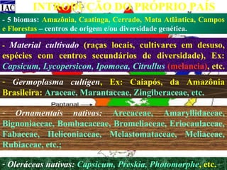 INTRODUÇÃO DO PRÓPRIO PAÍS
- 5 biomas: Amazônia, Caatinga, Cerrado, Mata Atlântica, Campos
e Florestas – centros de origem e/ou diversidade genética.
- Material cultivado (raças locais, cultivares em desuso,

espécies com centros secundários de diversidade), Ex:
Capsicum, Lycopersicon, Ipomoea, Citrullus (melancia), etc.
- Germoplasma cultígen, Ex: Caiapós, da Amazônia
Brasileira: Araceae, Marantaceae, Zingiberaceae, etc.
- Ornamentais nativas: Arecaceae, Amaryllidaceae,
Bignoniaceae, Bombacaceae, Bromeliaceae, Eriocaulaceae,
Fabaceae, Heliconiaceae, Melastomataceae, Meliaceae,
Rubiaceae, etc.;
- Oleráceas nativas: Capsicum, Preskia, Photomorphe, etc.

 