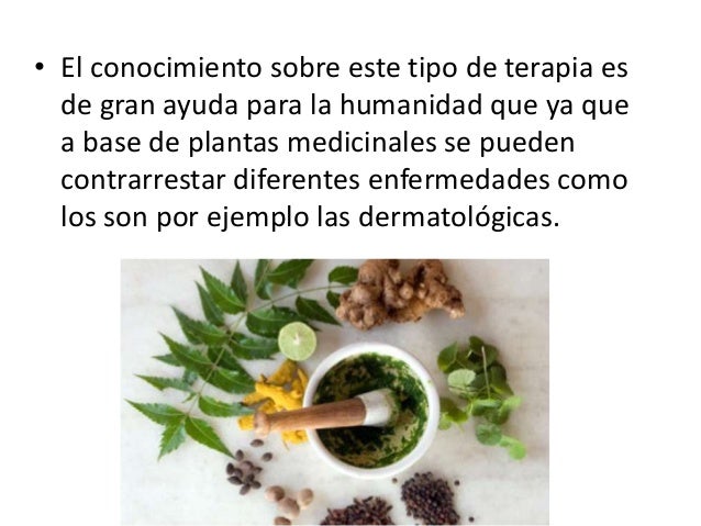 Fitoterapia Fitoterapia