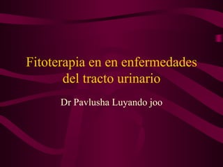 Fitoterapia en en enfermedades
       del tracto urinario
      Dr Pavlusha Luyando joo