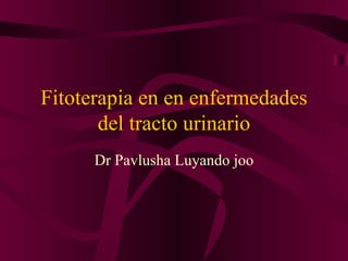 Fitoterapia en en enfermedades
       del tracto urinario
      Dr Pavlusha Luyando joo
 