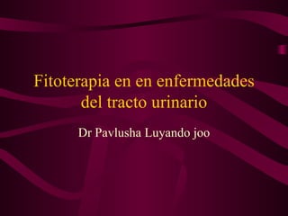 Fitoterapia en en enfermedades del tracto urinario Dr Pavlusha Luyando joo 