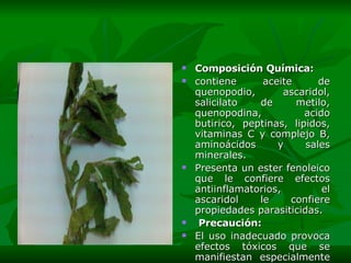 Composición Química:  contiene aceite de quenopodio, ascaridol, salicilato de metilo, quenopodina, acido butirico, peptinas, lipidos, vitaminas C y complejo B, aminoácidos y sales minerales.  Presenta un ester fenoleico que le confiere efectos antiinflamatorios, el ascaridol le confiere propiedades parasiticidas.    Precaución:   El uso inadecuado provoca efectos tóxicos que se manifiestan especialmente por alteraciones del sistema nervioso central. En dosis altas es abortiva, tener precauciones al usar el extracto puro obtenido de la planta fresca. 