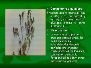 Componentes químicos: Presenta aceite esencial (de2 a 3%) rico en anetol y estragol, cetonas anísicas, glúcidos, resma y otras sustancias.   Precaución: La esencia pura puede producir convulsiones. En dosis elevadas y administradas durante períodos prolongados causa paresias musculares, congestión cerebral, fotosensibilización y otros disturbios orgánicos. 