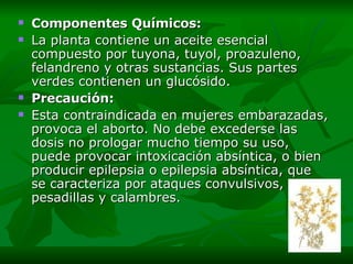 Componentes Químicos: La planta contiene un aceite esencial compuesto por tuyona, tuyol, proazuleno, felandreno y otras sustancias. Sus partes verdes contienen un glucósido . Precaución: Esta contraindicada en mujeres embarazadas, provoca el aborto. No debe excederse las dosis no prologar mucho tiempo su uso, puede provocar intoxicación absíntica, o bien producir epilepsia o epilepsia absíntica, que se caracteriza por ataques convulsivos, pesadillas y calambres. 