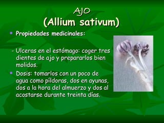 AJO (Allium sativum)   Propiedades medicinales:  -  Ulceras en el est ó mago: coger tres dientes de ajo y prepararlos bien molidos. Dosis: tomarlos con un poco de agua como píldoras, dos en ayunas, dos a la hora del almuerzo y dos al acostarse durante treinta días.   