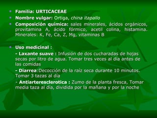 Familia: URTICACEAE Nombre vulgar:  Ortiga ,  china itapallo   Composición química:  sales minerales, ácidos orgánicos, provitamina A, ácido fórmico, acetil colina, histamina.  Minerales:  K ,  Fe ,  Ca ,  Z ,  M g,  v itaminas   B Uso medicinal : - L axante suave  :  Infusión de dos cucharadas de hojas secas por litro de agua. Tomar tres veces al día antes de las comidas  - Diarrea : Decocción de la raíz seca durante 10 minutos. Tomar 3 tazas al día  -  Antiarteresclerotica :   Zumo de la planta fresca, Tomar media taza al día, dividida por la mañana y por la noche 