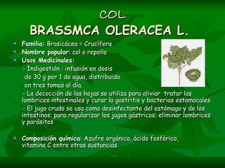 COL BRASSMCA OLERACEA L.   Familia:  Brasicácea = Crucífera Nombre popular : col o repollo  Usos Medicinales:   - Indigestión : infusión en dosis  de 30 g por 1 de agua, distribuida  en tres tomas al día. - La decocción de las hojas se utiliza para aliviar  tratar las lombrices intestinales y curar la gastritis y bacterias estomacales  - El jugo crudo se usa como desinfectante del estómago y de los intestinos; para regularizar los jugos gástricos; eliminar lombrices y parásitos     Composición química : Azufre orgánico, ácido fosfórico,  vitamina C entre otras sustancias   
