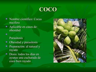COCO Nombre científico: Cocus nucifera Aplicable en casos de: obesidad Parasitosis Obesidad y parasitosis Preparación: al natural y rayado  Dosis: todos los días en ayunas una cucharada de coco bien rayado 