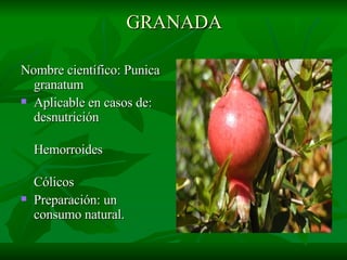 GRANADA Nombre científico: Punica granatum Aplicable en casos de: desnutrición Hemorroides Cólicos Preparación: un consumo natural. 