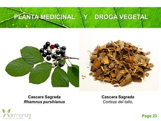 Page 23
PLANTA MEDICINAL Y DROGA VEGETAL
Cascara Sagrada
Rhamnus purshianus
Cascara Sagrada
Corteza del tallo.
 