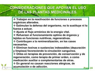 Page 24
CONSIDERACIONES QUE APOYAN EL USO
DE LAS PLANTAS MEDICINALES.
 Trabajan en la reactivación de funciones o procesos
orgánicos alterados.
 Estimulan la defensa del organismo, no lo sustituye ni lo
fuerza a actuar.
 Ajusta el flujo armónico de la energía vital.
 Refuerzan el funcionamiento optimo de órganos y
tejidos en funciones nutritivas, regenerativas.
 Contribuyen a la remineralización, en los casos
necesarios.
 Eliminan toxinas o sustancias indeseables (depuración
y limpieza) favoreciendo la circulación sanguínea.
 Útiles en terapias de prevención, de conservación y de
regeneración, como terapia de primer orden, o como
medicación auxiliar o complementarias de otras.
 En general no causan reacciones alérgicas, de
acumulación o de adicción.
 
