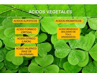Page 36
ACIDOS VEGETALES
ACIDOS ALIFATICOS ACIDOS AROMATICOS
ACIDO FORMICO
(ORTIGA)
ACIDO CITRICO
(LIMON)
ACIDO VALERICO
(RAIZ DE
VALERIANA)
ACIDO BENZOICO
(BALSAMO DE
TOLU,
ARANDANOS)
 