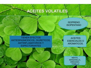 Page 37
ACEITES VOLATILES
ISOPRENO
ISOPENTANO
ACEITES
ESENCIALES O
AROMATICOS.
MENTA,
MANZANILLA,
OREGANO,
TOMILLO
TIENEN EFECTOS
ANTIESPASMODICOS, DIURETICOS,
ANTIINFLAMATORIOS Y
ESPECTORANTES
 